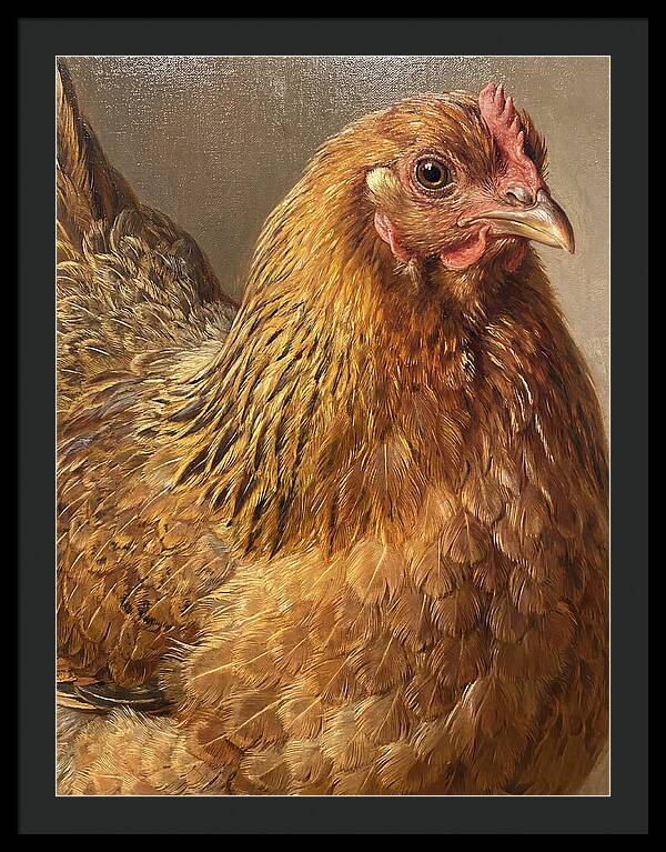 Hen Realism Portrait