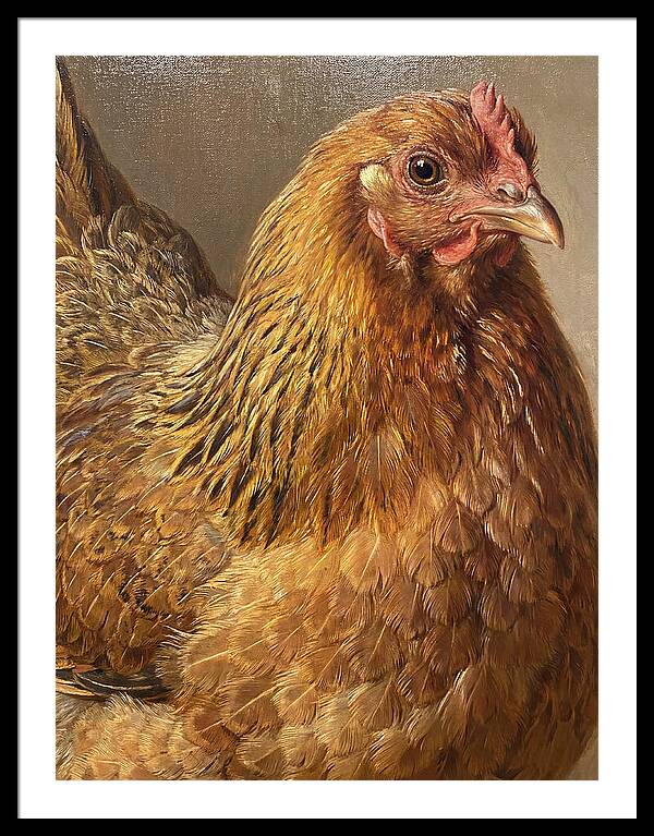 Hen Realism Portrait