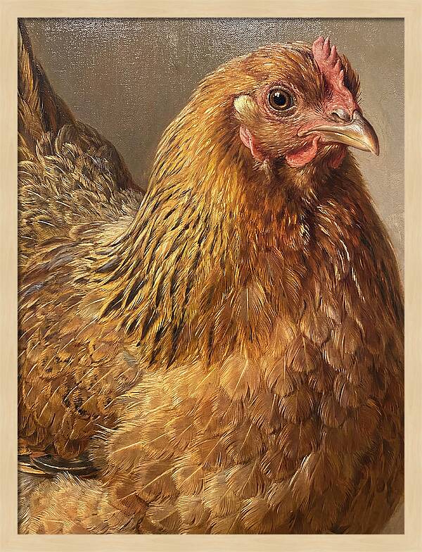 Hen Realism Portrait