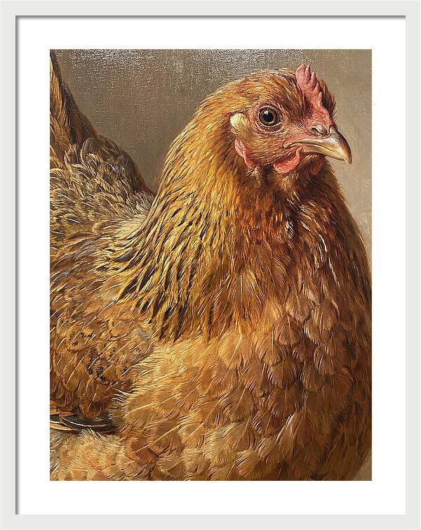 Hen Realism Portrait