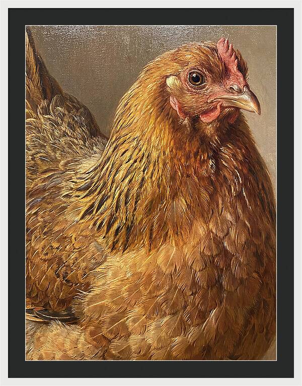 Hen Realism Portrait