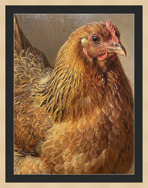 Hen Realism Portrait