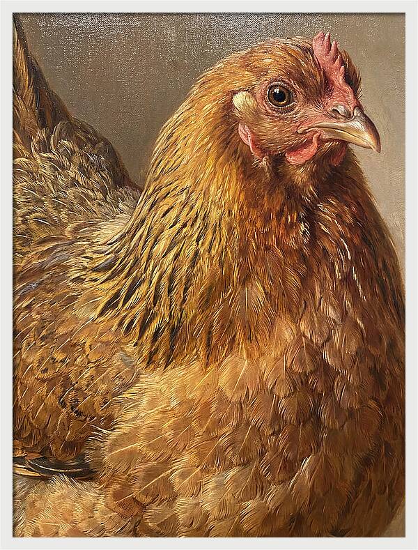 Hen Realism Portrait