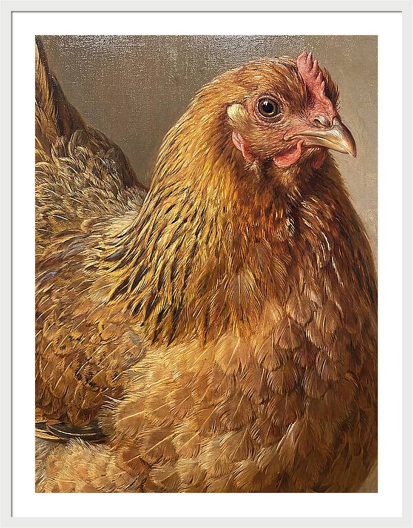 Hen Realism Portrait