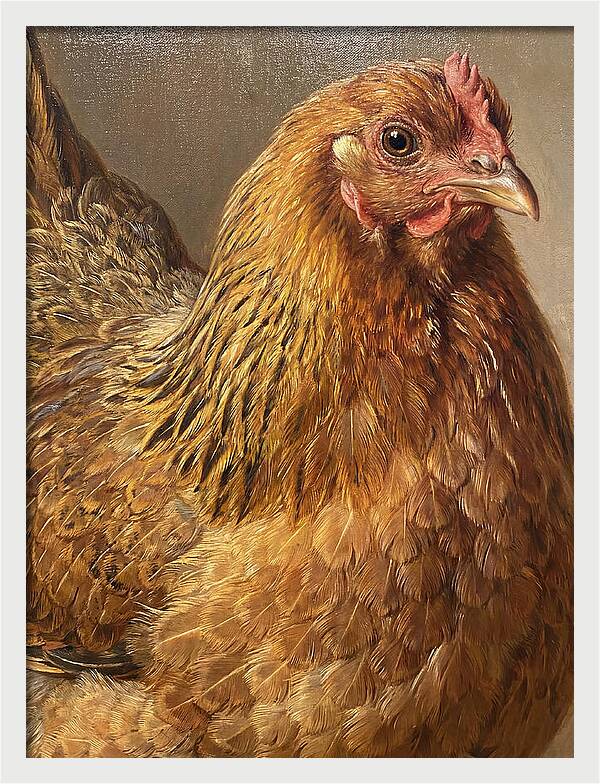 Hen Realism Portrait