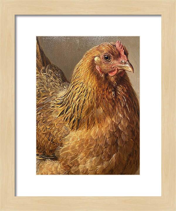 Hen Realism Portrait