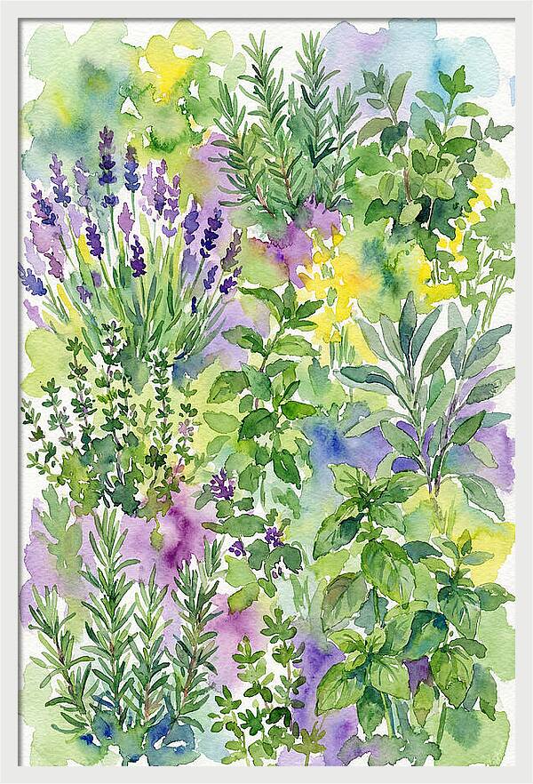 Herb Garden Bliss