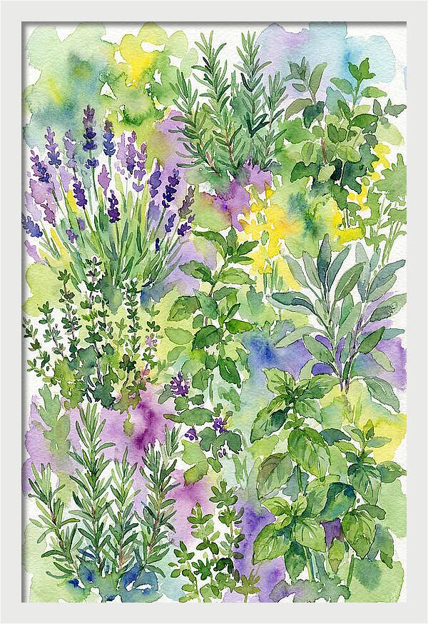Herb Garden Bliss