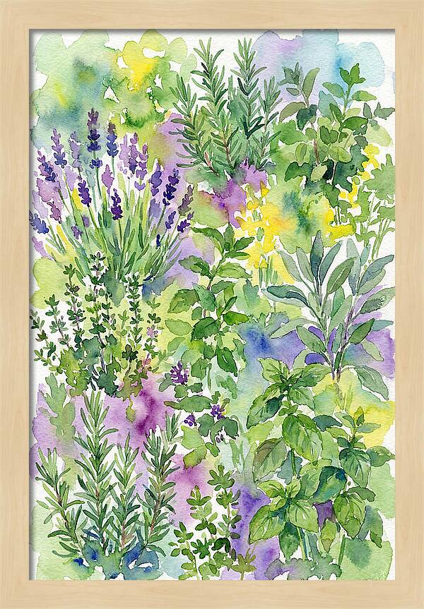 Herb Garden Bliss