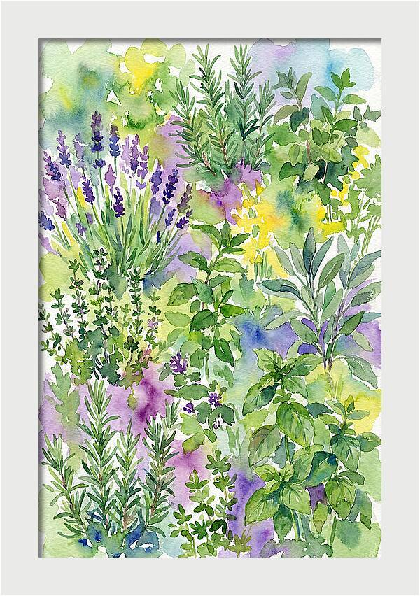 Herb Garden Bliss