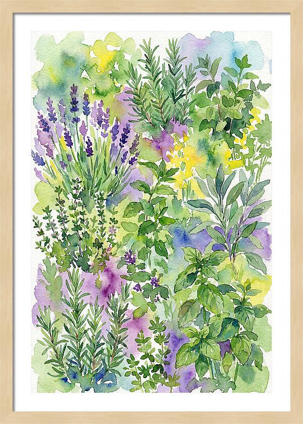 Herb Garden Bliss