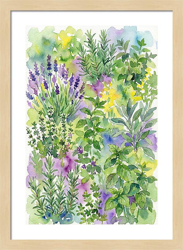 Herb Garden Bliss