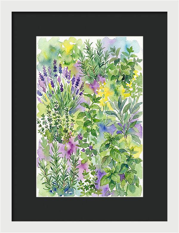 Herb Garden Bliss