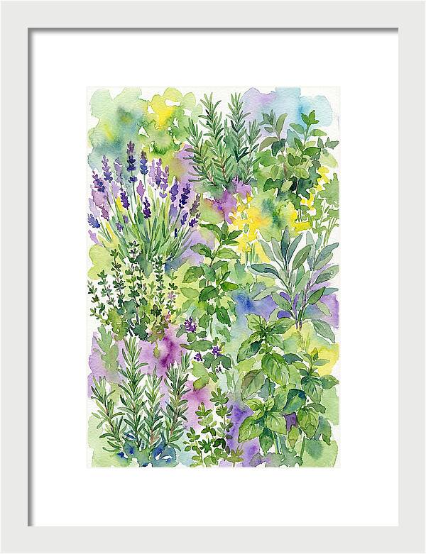 Herb Garden Bliss