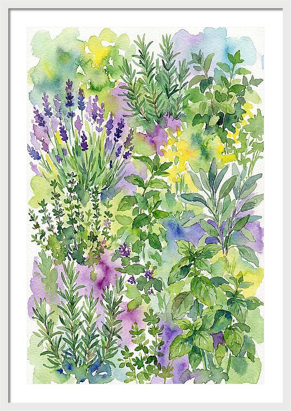 Herb Garden Bliss