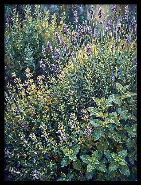 Herb Garden