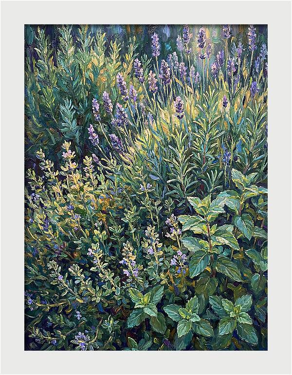 Herb Garden