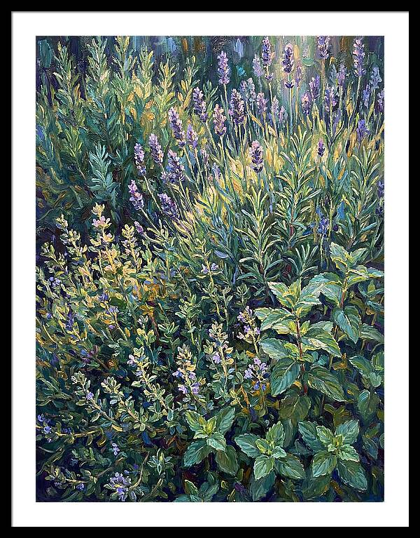 Herb Garden