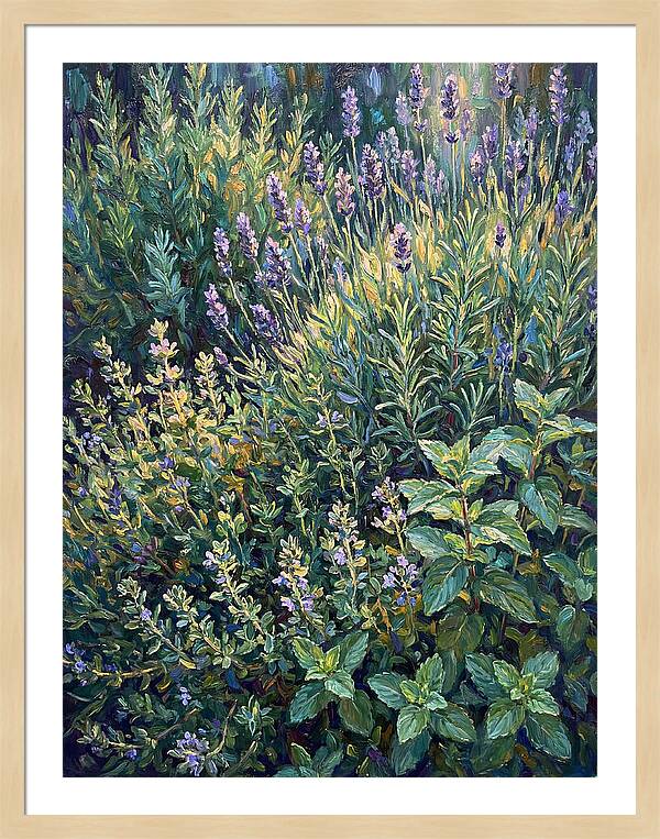 Herb Garden