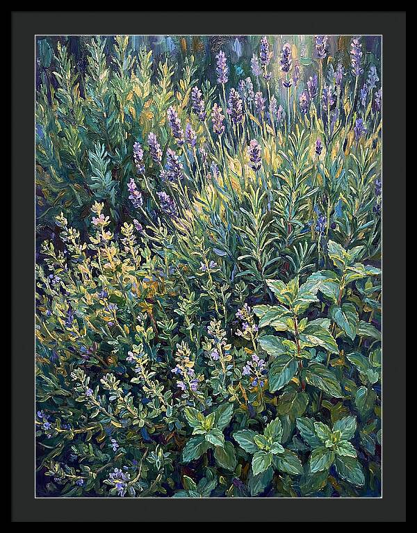 Herb Garden