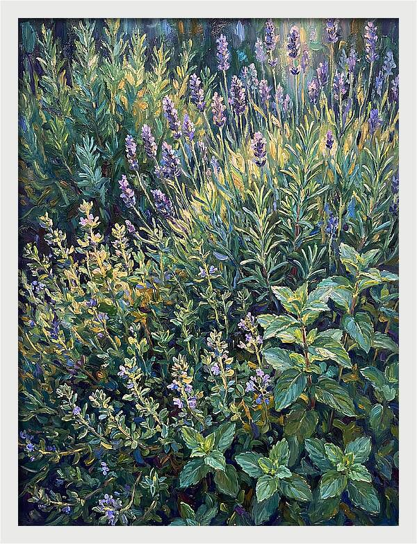 Herb Garden