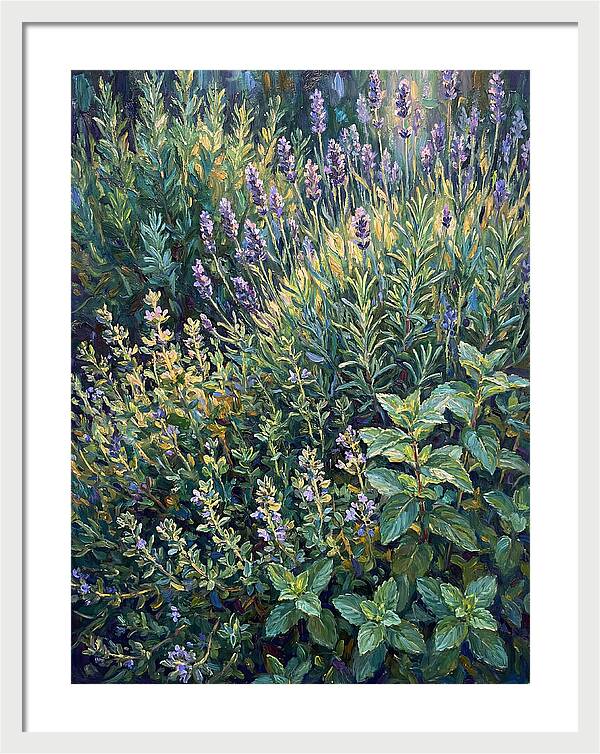 Herb Garden