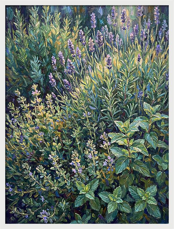 Herb Garden