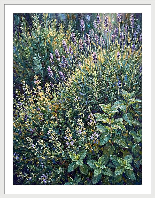Herb Garden