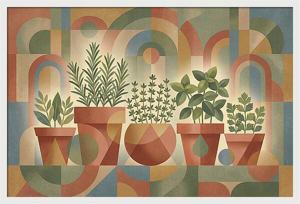 Herb Garden Harmony