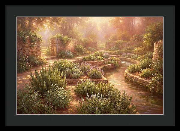 Herb Garden Landscape