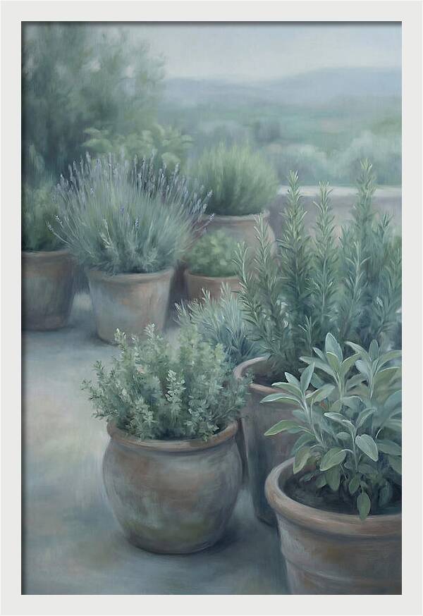 Herb Garden Serenity