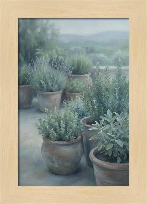 Herb Garden Serenity