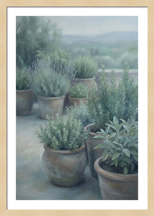 Herb Garden Serenity