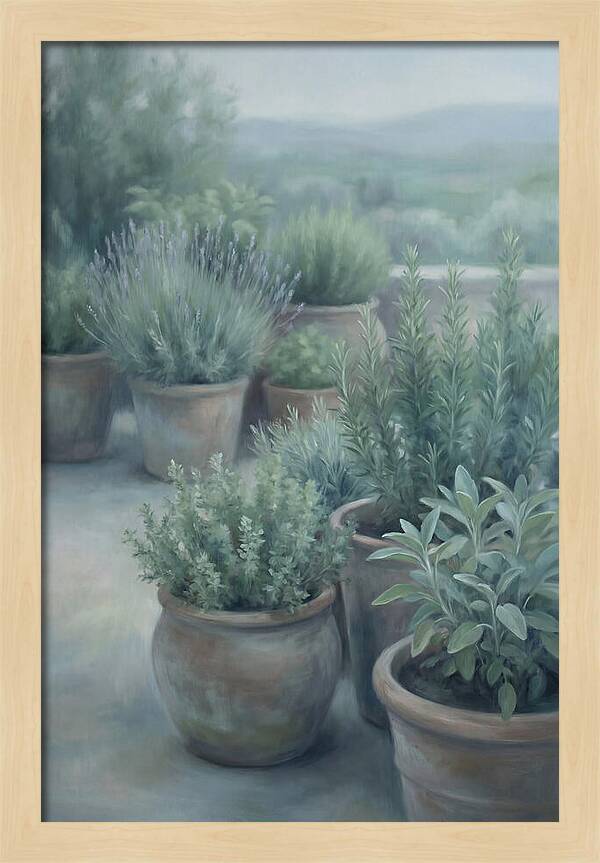 Herb Garden Serenity