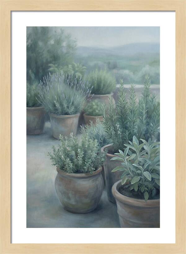 Herb Garden Serenity