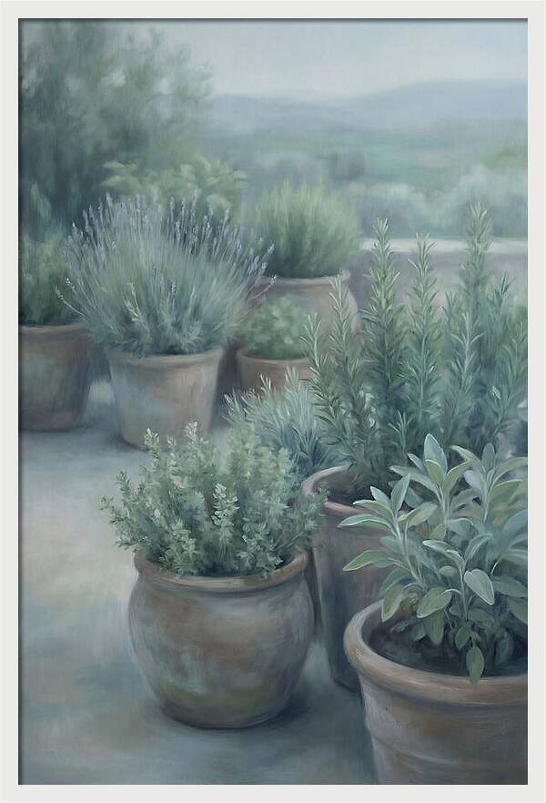 Herb Garden Serenity