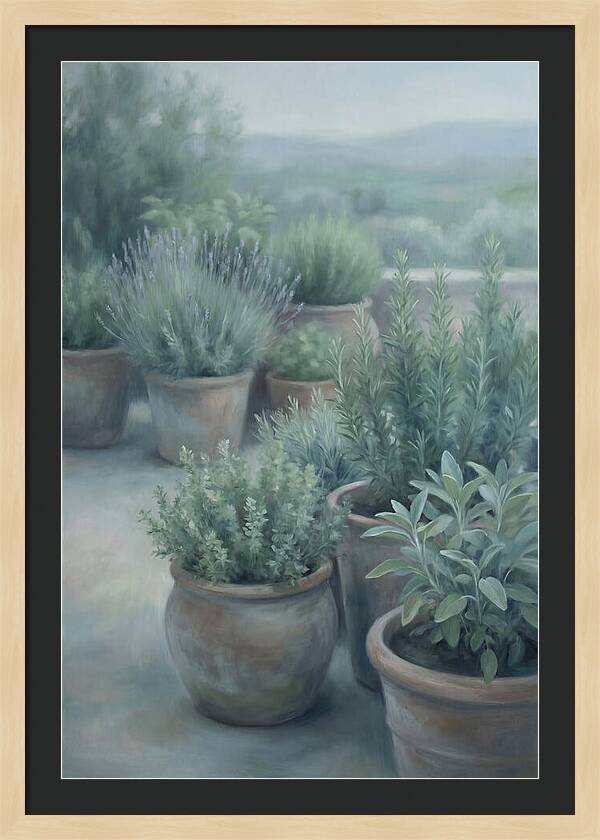 Herb Garden Serenity