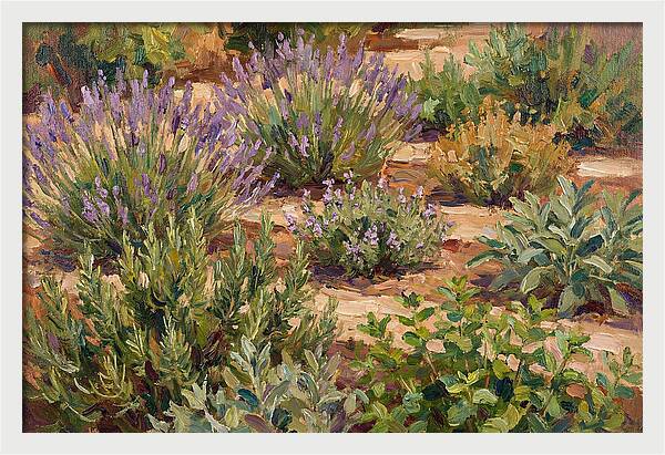 Herb Garden Serenity