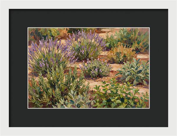 Herb Garden Serenity