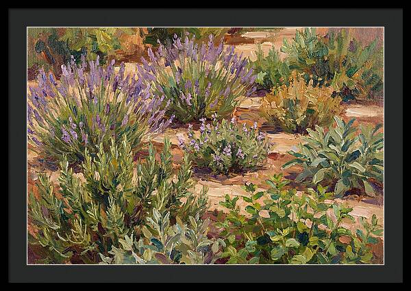 Herb Garden Serenity
