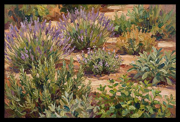 Herb Garden Serenity