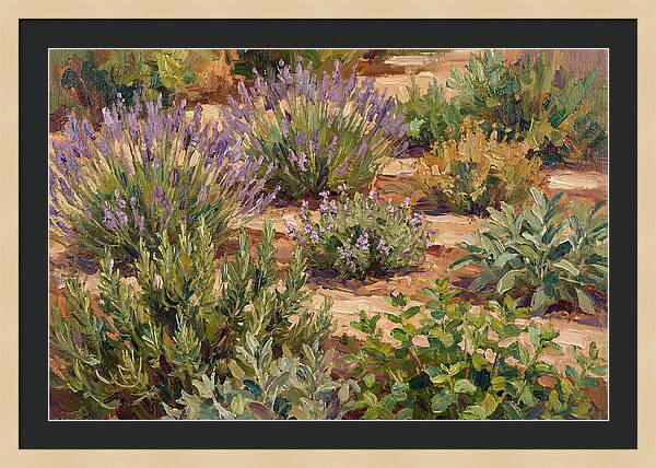 Herb Garden Serenity