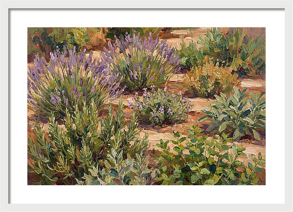 Herb Garden Serenity