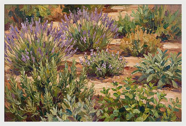 Herb Garden Serenity