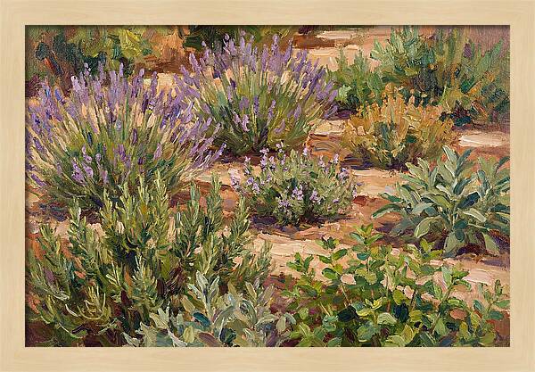Herb Garden Serenity