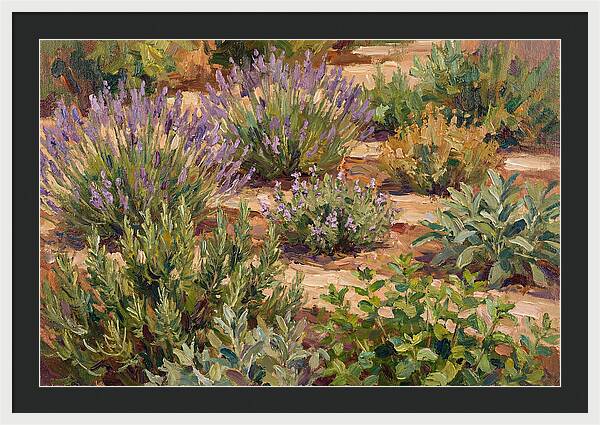 Herb Garden Serenity