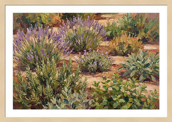 Herb Garden Serenity