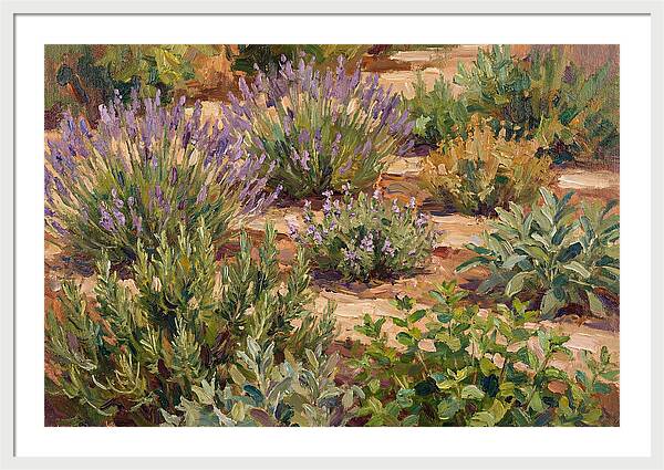 Herb Garden Serenity