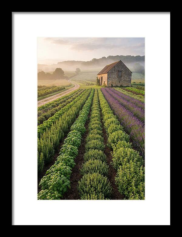 Herb Garden Tranquility