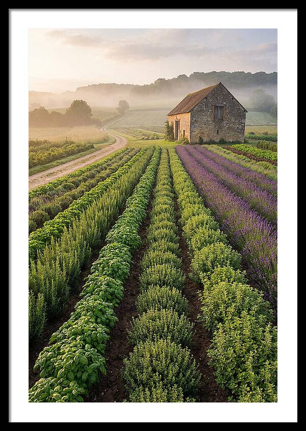 Herb Garden Tranquility